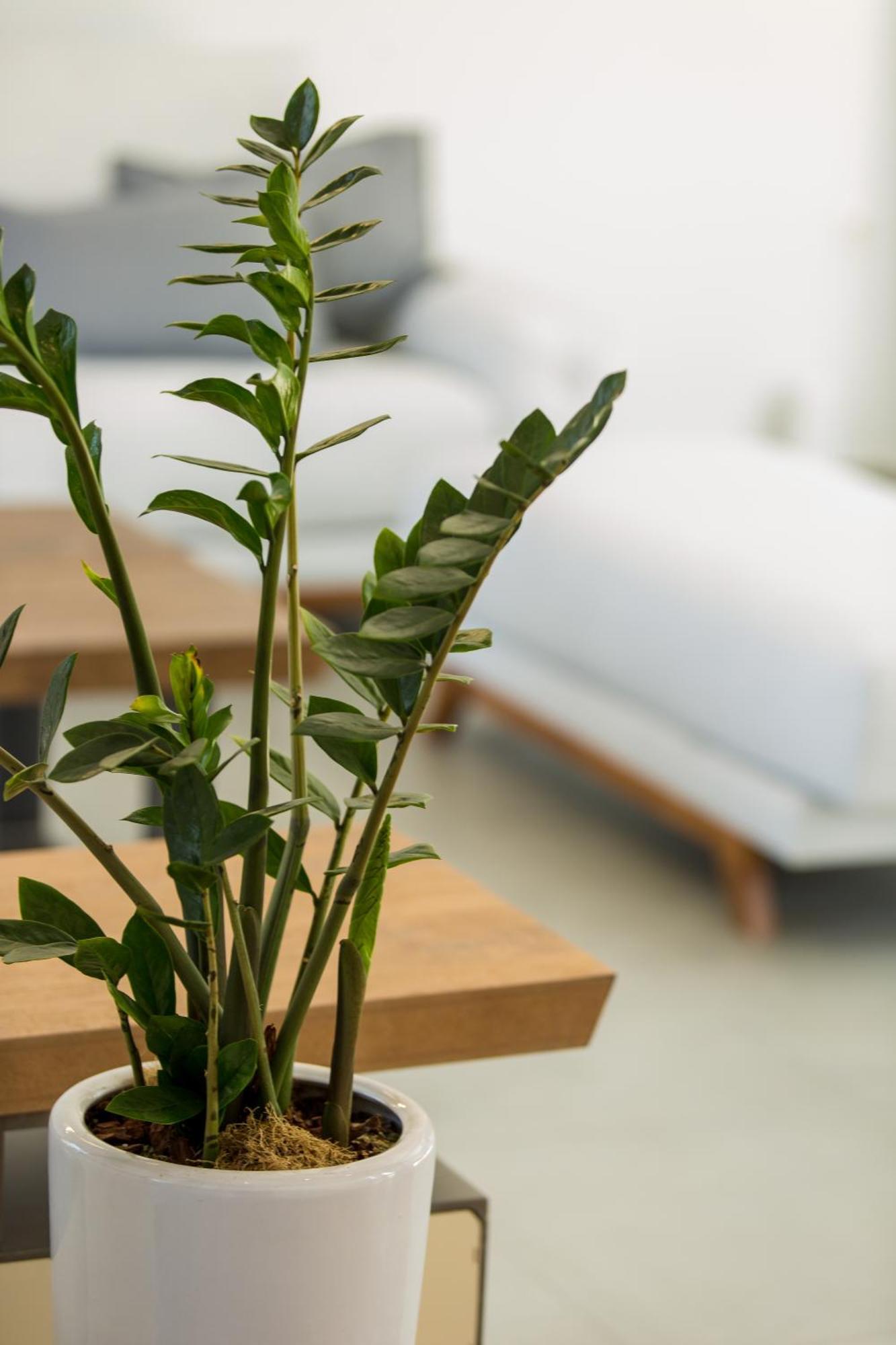 Vilana Exclusive Villas Skouloúfia Eksteriør bilde